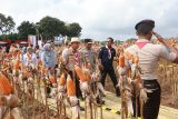 Green Farm Banyuwangi jadi tempat riset-inovasi pertanian modern