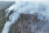 20 hektare lahan terbakar berhasil dipadamkan di Sepaku