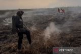 BKSDA Kaltim: Ketangguhan perempuan kendalikan hutan dari karhutla