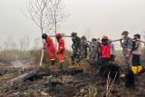 BPBD kalbar sebut penanganan karhutla memasuki tahap pendinginan