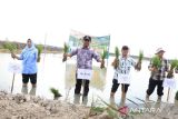 Bupati Sergai dorong gerakan tanam serempak perkuat ketahanan pangan