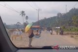 Banjir Bandang berlalu, Penyintas Tapsel kini menadahkan kardus di pinggir jalan