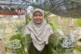 Pangan organik dari Malang; membangun ekosistem untuk rantai kehidupan