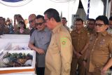 Pemprov Maluku bentuk Tim Percepatan Peningkatan Nilai Ekspor