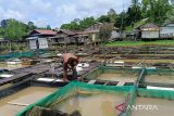Pemkot Samarinda terapkan Sipeka Ikan atasi kendala kualitas air