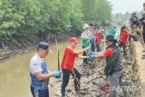 Karantina PBD cegah abrasi dengan penanaman 200 bibit mangrove