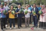 Bangka Tengah jadikan pasar tani ruang pemasaran produk lokal