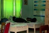BGN berhentikan operasional SPPG Tanjungsari karena kasus keracunan