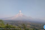 Gunung Semeru erupsi dengan tinggi letusan capai 1.300 meter di atas punca