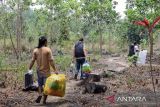 OIKN lanjutkan dialog persuasif warga di Tahura Bukit Soeharto