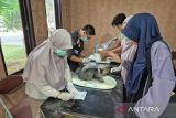 Pemprov Kaltim berikan layanan vaksinasi pada  Hari Rabies Sedunia