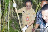 Tingkatkan agribisnis, Pemkab Tangerang dorong pemberdayaan petani muda