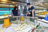 DPKH Kaltim bina peternak lokal pastikan bibit unggas sehat dan teruji