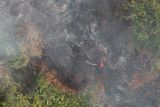 BMKG deteksi 3.734 titik panas di Pulau Sumatera, Sumsel sumbang angka tertinggi