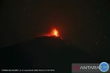 Gunung Ili Lewotolok erupsi muntahkan abu dan lelehan lava 500 meter