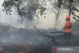 Pemprov Kalbar siapkan data hadapi sidang gugatan Karhutla