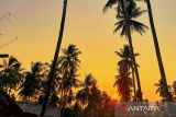 Puluhan perwakilan negara mulai berdatangan untuk ikuti World Coconut Day 2026 di Sulut
