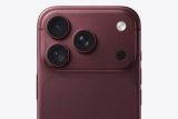 Pengguna keluhkan warna iPhone 18 Pro Burgundy Red memudar