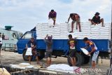 Bulog Manokwari tuntaskan penyaluran 1.593 ton beras untuk lima kabupaten