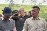 Pemkab Kerinci gandeng investor Eropa naikkan harga kulit manis