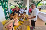 Penyaluran KUR di Regional Papua Barat capai Rp254,1 miliar