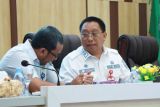 Pemkab Tapin susun RDTR Bungur untuk kendalikan pembangunan kawasan