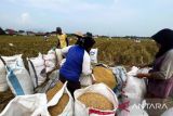 Serapan gabah dan beras Bulog Karawang telah capai 92,41 ribu ton