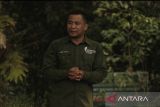 Pepelingasih Kaltim galang pemuda aktif cegah karhutla