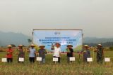 Pemkab Halmahera Timur dan BI kembangkan komoditas bawang merah tekan laju inflasi