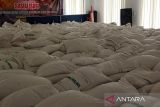 Bulog Samarinda realisasikan pengadaan 18.422 ton gabah beras lokal