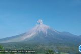 Abu letusan Semeru membumbung hingga 900 meter