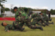 HUT TNI