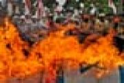 SIMPATI UNTUK PALESTINA
