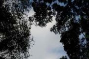 WISATA BUDAYA