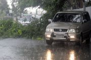 Pohon Tumbang di Jalan Duyung Batam