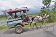 ANGKUTAN CIDOMO