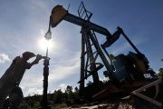 APMI dukung reaktivasi sumur idle untuk dongkrak produksi migas