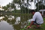 MANCING IKAN NILA