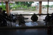 Berjaga-jaga terhadap Unjuk rasa