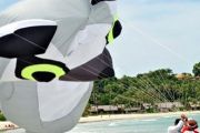 Bintan International Kite Festival 2011