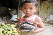 Ayam Kampung