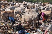 MENGAIS SAMPAH