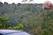 Hutan wisata