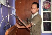 Wayang Palembang nyaris punah