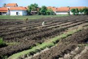 LAHAN PRODUKTIF