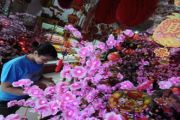 POHON MEI HWA