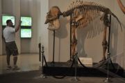 MUSEUM RANGGAWARSITA