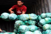 Harga Sayuran Normal/Joko Sulistyo)
