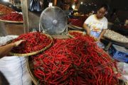 HARGA CABAI MULAI TURUN