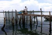 Nelayan Kelong/Foto Joko Sulistyo